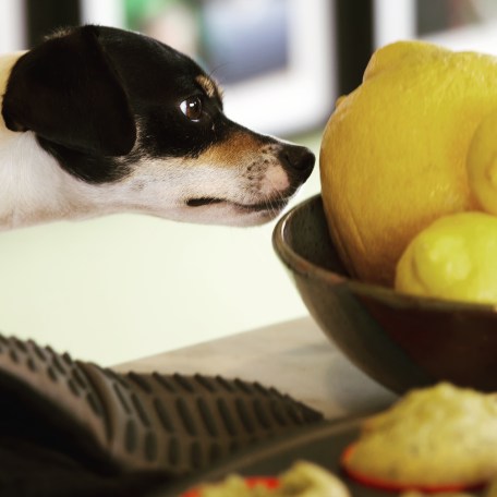 f6fddec1-2e83-4c32-a69c-5937369b9de3